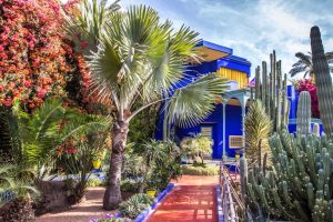 jardins Majorelle