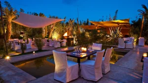 Lire la suite à propos de l’article BO zin